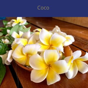 Coco