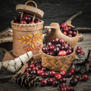 Береза и сублимированная клюква