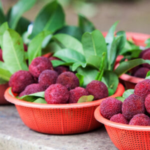 Bayberry & Silver Oak (TFC, США)