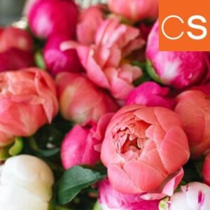 Magnolia and Peony (Candle Science, США)