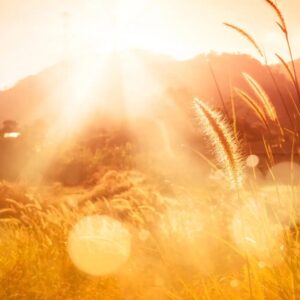 Sunwashed (Candle Science, США)