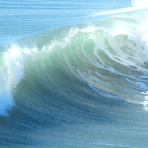 Ocean Mist (TFC, США)