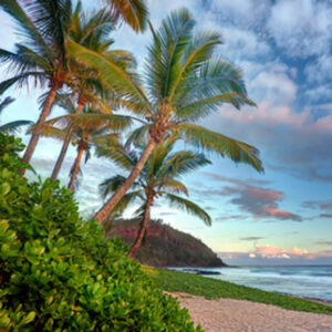 Pink Sands (TFC, США)