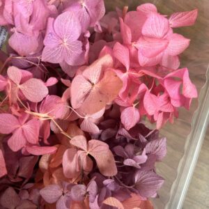Микс сухоцветов Гортензия