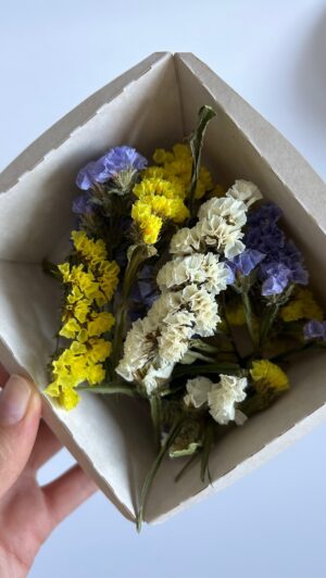 Микс из «Статицы»