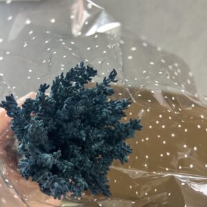 Сухоцветы Лавандин