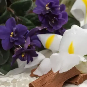 White Orris and Sandalwood (Candle Science, США)