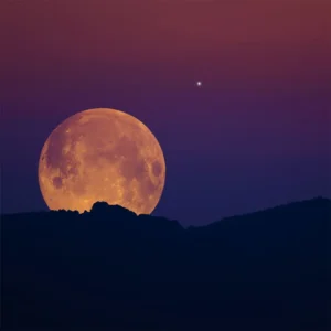 Harvest Moon (Candle Science, США)