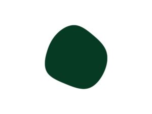 Краситель "Зеленый гранит", 5 г