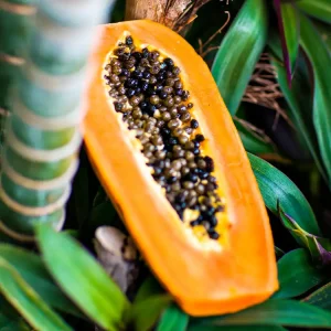 Papaya Paradise(CandleScience, США)