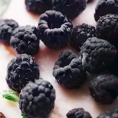 Black Raspberry Vanilla (Candle Science, США)