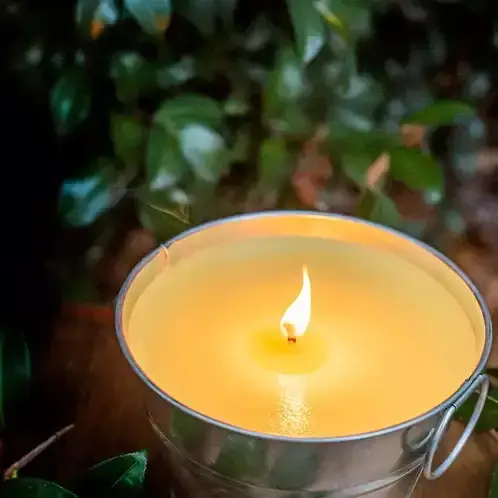 Citronella (Candle Science, США)