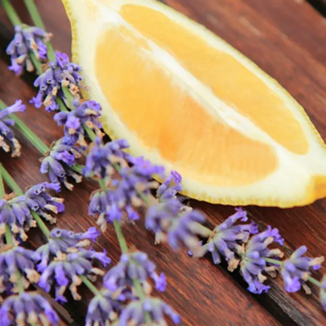 Lemon Lavender (TFC, США)