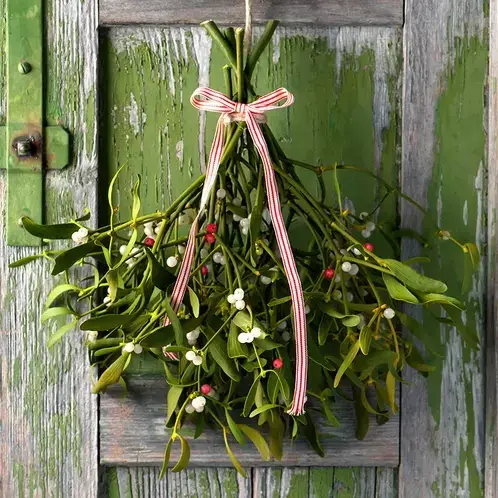 Mistletoe (Candle Science, США)