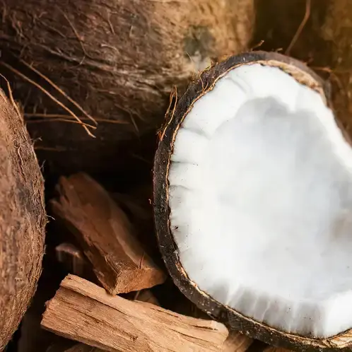 Santal and Coconut (Candle Science, США)
